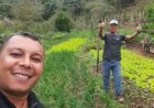 Compra conjunta de fertilizantes alivia custos e escassez para agricultores