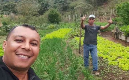 Compra conjunta de fertilizantes alivia custos e escassez para agricultores