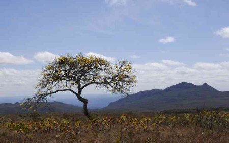 Governo de Minas abre roadshow do projeto de concessão turística do Parque Estadual do Biribiri