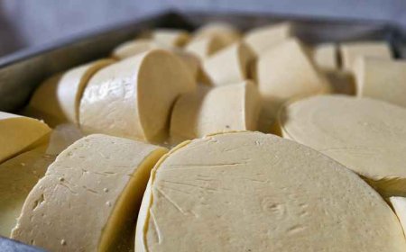 Queijo Artesanal do Vale do Suaçuí ganha regulamentação técnica