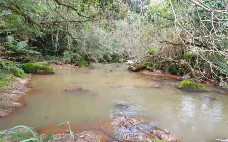 Minas ganha novas reservas particulares em Diamantina e Munhoz
