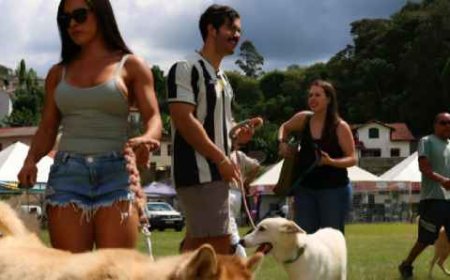 Cidades históricas recebem serviços do Governo Presente e somam 10,3 mil atendimentos